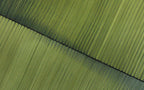 Large Green Minimalist Abstract Pa-SJ#0149