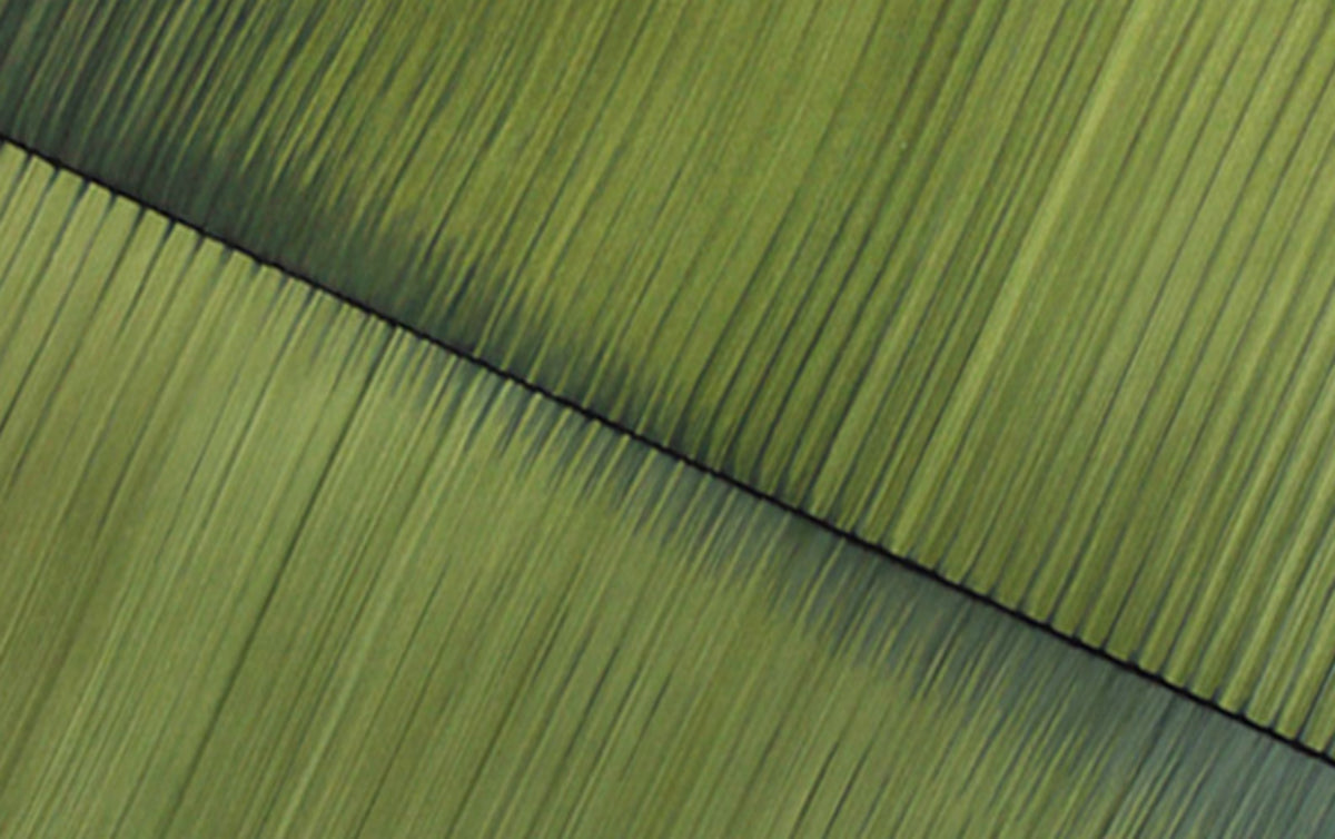 Large Green Minimalist Abstract Pa-SJ#0149